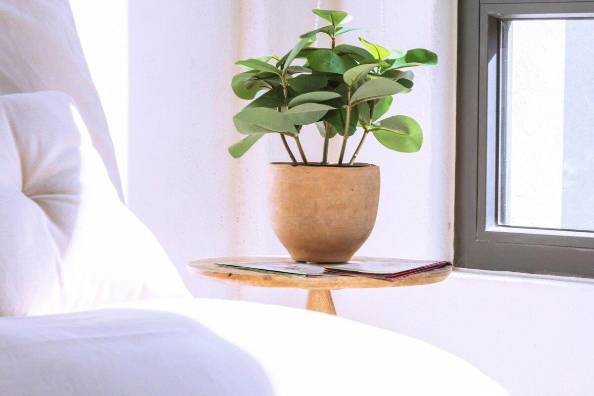 Exclusivo Loft A Pasos Del Zocalo No Lo Pierdas Appartement Mexico-stad