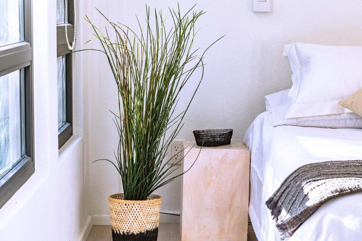 Exclusivo Loft A Pasos Del Zocalo No Lo Pierdas Appartement *